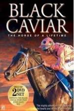 Watch Black Caviar The Races 9Movies