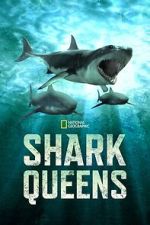 Watch Shark Queens 9Movies