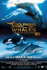 Watch Dolphins and Whales 3D Tribes of the Ocean 9Movies