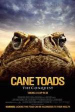 Watch Cane Toads The Conquest 9Movies