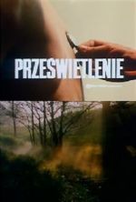 Watch Przeswietlenie 9Movies