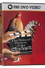 Watch The Natural History of the Chicken 9Movies