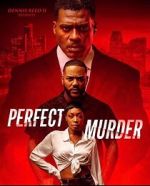 Watch Perfect Murder 9Movies
