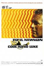 Watch Cool Hand Luke 9Movies