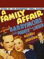 Watch A Family Affair 9Movies