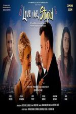 Watch Love Me Stupid 9Movies