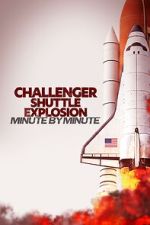 Watch Challenger Shuttle Disaster: Minute by Minute 9Movies