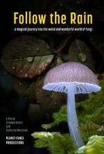 Watch Follow the Rain 9Movies