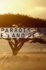 Watch Nature Parrots in the Land of Oz 9Movies