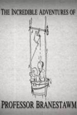 Watch The Incredible Adventures of Professor Branestawm 9Movies