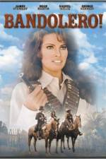 Watch Bandolero! 9Movies