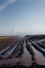 Watch El Valley Centro 9Movies