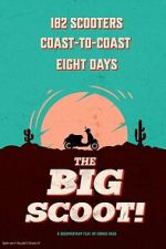 Watch The Big Scoot 9Movies