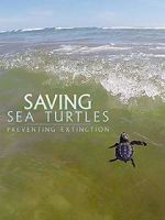 Watch Saving Sea Turtles: Preventing Extinction 9Movies