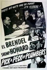 Watch Pick a Peck of Plumbers 9Movies