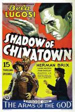 Watch Shadow of Chinatown 9Movies