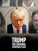 Watch Trump: The Criminal Conspiracy Case 9Movies