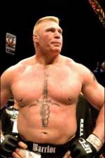 Watch Brock Lesnar 7 Fights 9Movies