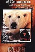 Watch The Polar Bears of Churchill with Ewan McGregor 9Movies