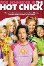 Watch The Hot Chick 9Movies