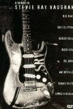 Watch A Tribute to Stevie Ray Vaughan 9Movies