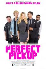 Watch The Perfect Pickup 9Movies