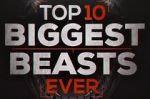 Watch Top 10 Biggest Beasts Ever 9Movies