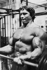 Watch The Comeback 9Movies