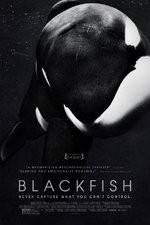 Watch Blackfish 9Movies