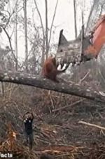 Watch Climate Change: The Facts 9Movies