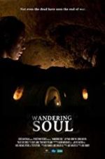 Watch Wandering Soul 9Movies