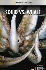 Watch National Geographic Wild - Squid Vs Whale 9Movies
