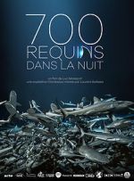 Watch 700 requins dans la nuit 9Movies