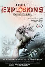 Watch Quiet Explosions: Healing the Brain 9Movies