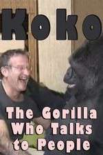 Watch Koko: The Gorilla Who Talks to People 9Movies