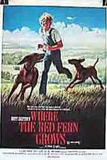 Watch Where the Red Fern Grows 9Movies
