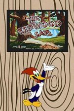 Watch The Redwood Sap (Short 1951) 9Movies