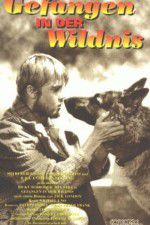 Watch Call of the Wild 9Movies