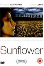 Watch Sunflower 9Movies
