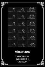 Watch Wrestling 9Movies