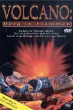 Watch Volcano: Fire on the Mountain 9Movies