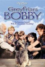 Watch Greyfriars Bobby The True Story of a Dog 9Movies