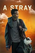 Watch A Stray 9Movies