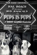 Watch Pups Is Pups 9Movies