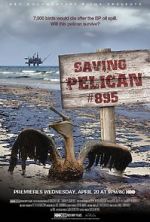 Watch Saving Pelican 895 (Short 2011) 9Movies