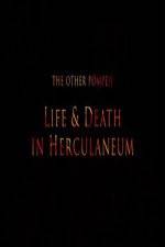 Watch The Other Pompeii Life & Death in Herculaneum 9Movies
