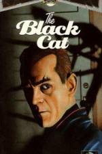 Watch The Black Cat 9Movies