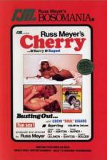 Watch Cherry Harry & Raquel 9Movies