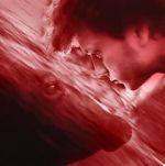 Watch We All Poop: All the Blood 9Movies