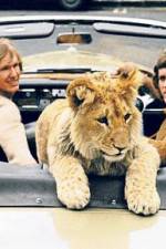 Watch The Lion Cub from Harrods 9Movies